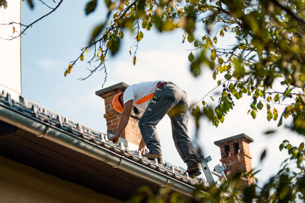 Best New Roof Installation  in Ddanelle, AR
