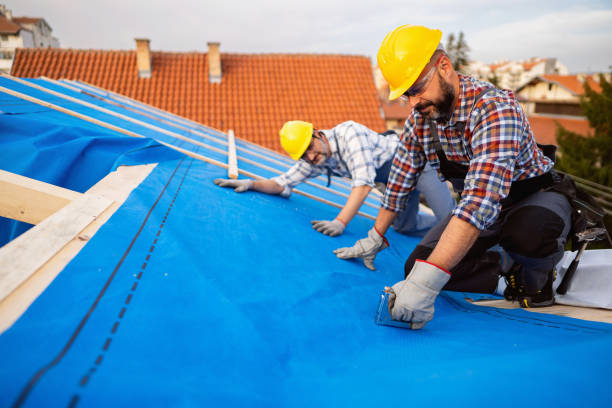 Best Roof Maintenance Services  in Ddanelle, AR