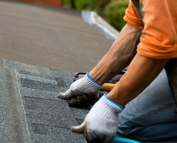 Best Local Roofing Companies  in Ddanelle, AR