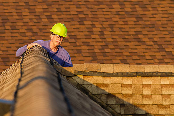 Best Gutter Installation and Roofing  in Ddanelle, AR
