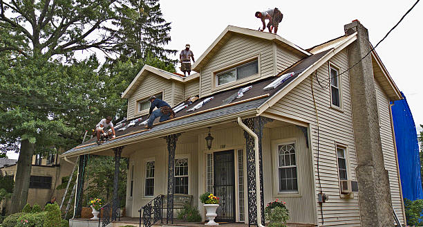 Best Roof Leak Repair  in Ddanelle, AR