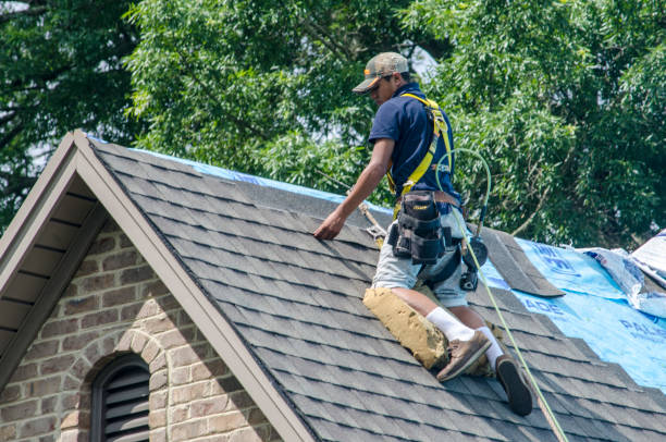Best Residential Roofing Contractor  in Ddanelle, AR